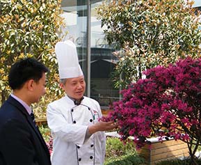 上海片区厨务总监彭总讲解养花知识